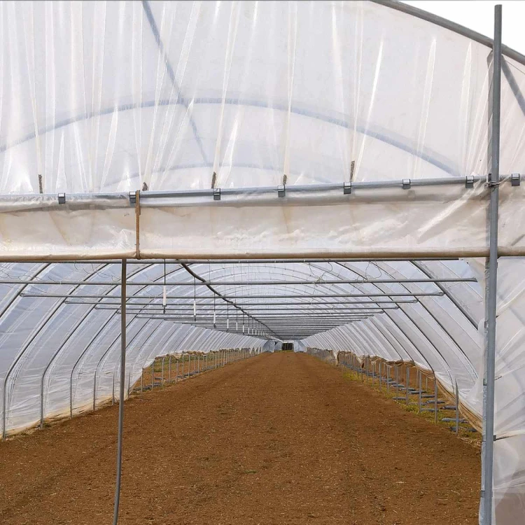 tunel-foliowy.jpg