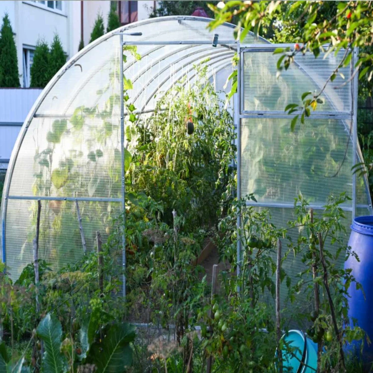 szklarnia-z-poliweglanu-komorowego.jpg